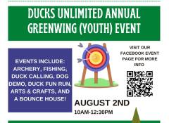 ducks unlimited greenwing