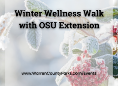 wellness walk